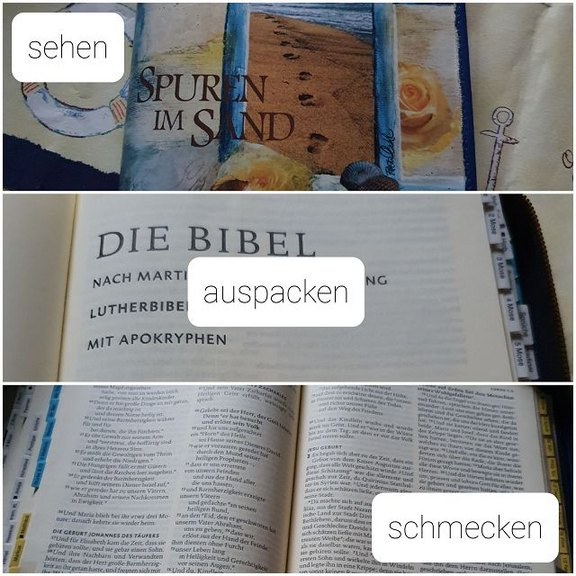 k-Andacht_Sonja_Denke_Bibel.jpg  