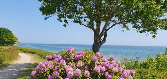 2023_Ostsee.jpg