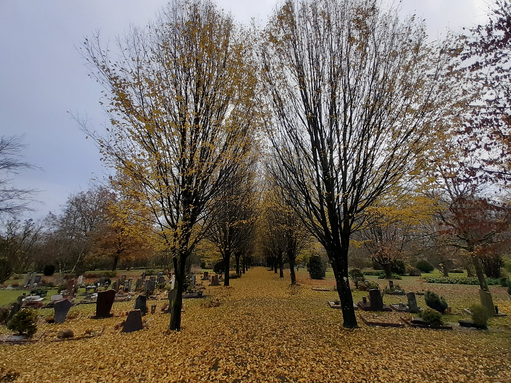 k-Schnellenbach_Friedhof_.jpg  