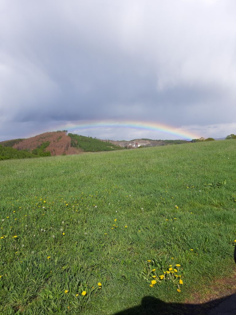 Regenbogen_.jpg  