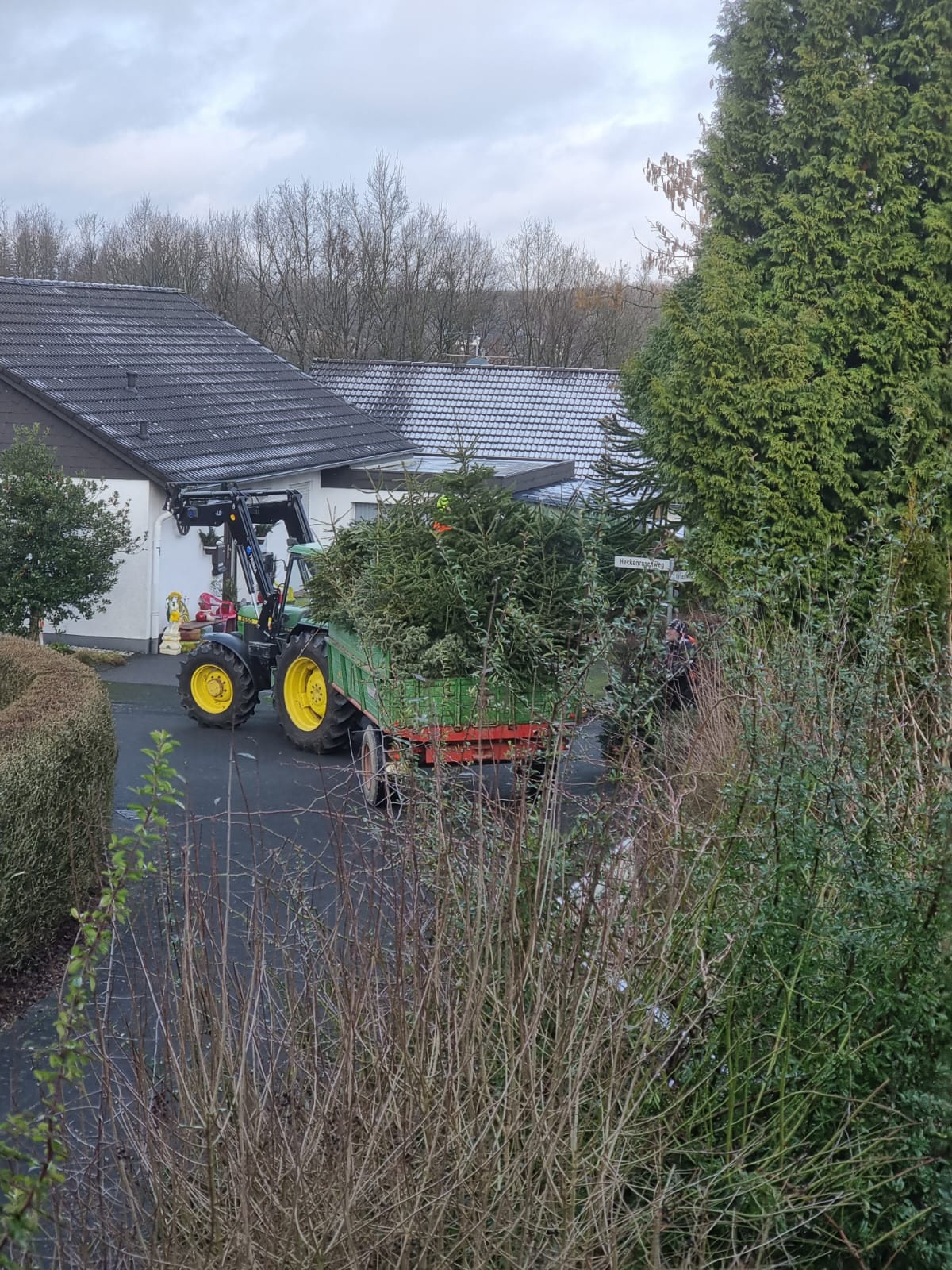 Das Foto zeigt einen Traktor mit Anhänger, auf dem Weihnachtsbäum liegen 