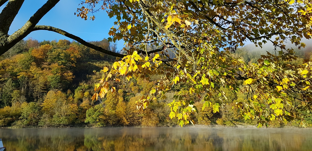 k-diakonoeherbstbild.jpg